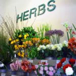 Herbs, un concept venu d’ailleurs… 15