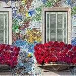 La Sant-Jordi à Barcelone. 9