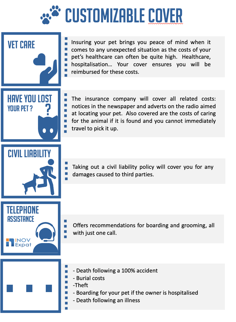 Pets insurance : How does it work in Spain? 1 pets insurance